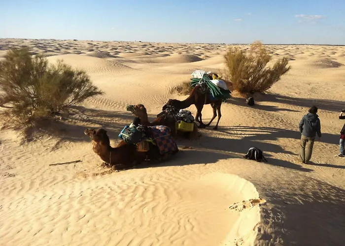 Maison Proche De Desert Douz