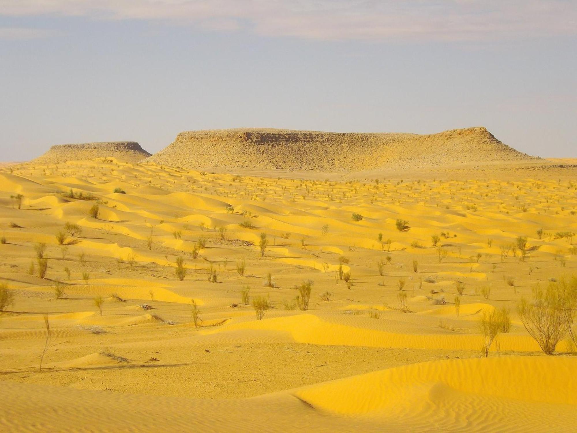 Maison Proche De Desert Douz