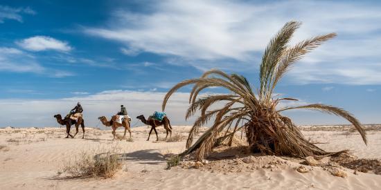 Maison Proche De Desert *