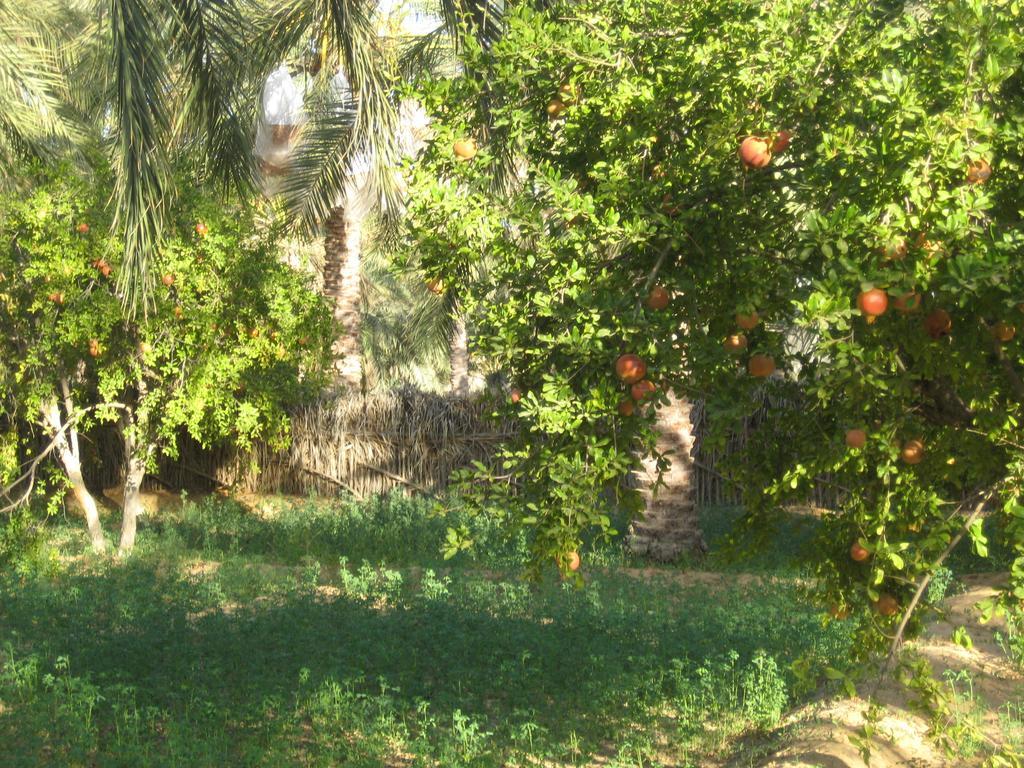 Maison Proche De Desert Holiday home *